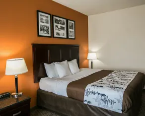 Sleep Inn & Suites Hwy 290-NW Freeway - Room