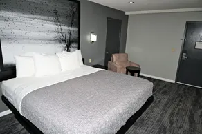 Super 8 by Wyndham Higginsville - Værelse