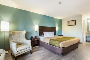 Econo Lodge Inn & Suites Brooks - Louisville South - Room