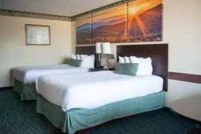 Days Inn by Wyndham Waynesboro - Chambre
