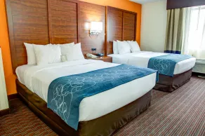 Comfort Suites Stevensville - St Joseph - Room