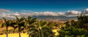 Costa Rica Marriott Hotel Hacienda Belen - View from room