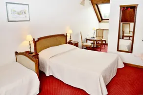 Logis Hôtel & Restaurant du Sauvage - Camera