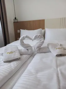 Zlatiborske terase Spa&Wellness - Habitación