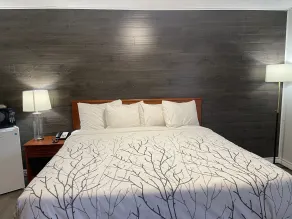 Silverstar Motel - Room