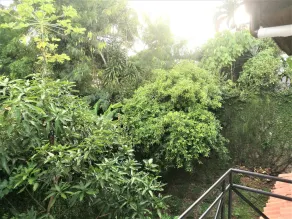 Bhakthi Yoga Sri Lanka - Ausblick vom Zimmer