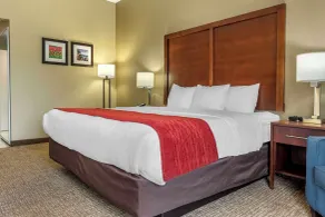 Comfort Inn & Suites Mocksville I-40 - Zimmer