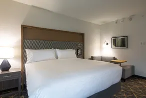 Holiday Inn Greenville - Woodruff Road by IHG - Chambre