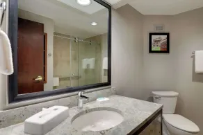 Drury Inn & Suites Springfield - Salle de bain