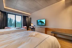Swissôtel Damian Jasna - Vue de la chambre