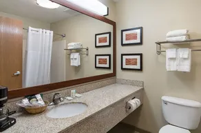 Comfort Inn Wichita East - Salle de bain