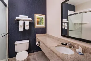Fairfield Inn Saint Louis Collinsville - Salle de bain
