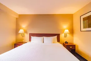 Wyndham Garden Monterrey Norte - Room