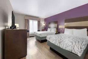 Best Western Plus Buda Austin Inn & Suites - Chambre
