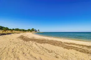 Walk to Beach: Pet-friendly Gem in Scotland! - Interiør