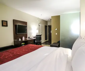 Comfort Suites Regina - Chambre