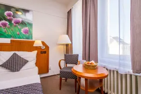 LH Hotel Mědínek Old Town - Room