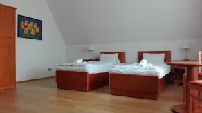 Residence Dykova - former Pension Jana, Domov Mládeže - Habitación