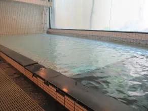 Kikuchi Kanko Hotel - Pool