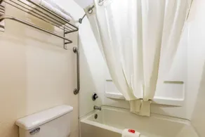 Econo Lodge Inn & Suites Memphis East - Bad