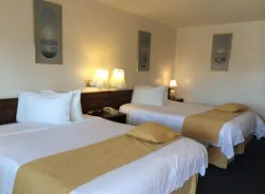 Circle 5 Motel - Room