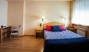 Hotel Villa de Ayerbe - Værelse