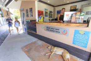 Scotty's Mission Beach - Reception