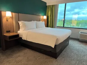 Holiday Inn Nashville Downtown - Stadium by IHG - Chambre