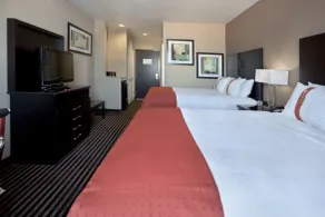 Holiday Inn San Antonio N - Stone Oak Area by IHG - Chambre