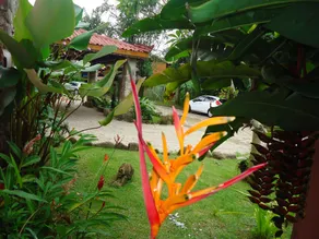 Bali Suites Itamambuca - Vue de la chambre