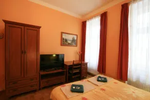 Apartment No. 10 Zeyerova 13 - Quarto