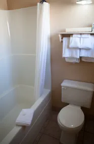 Revelstoke Lodge - Salle de bain