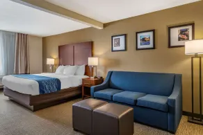 Comfort Inn & Suites Texas Hill Country - Chambre