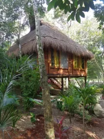 Casa Mango - Rom