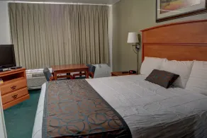The Palms Motel - Room