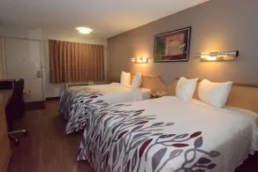 Red Roof Inn Buffalo - Hamburg/ I-90 - Chambre