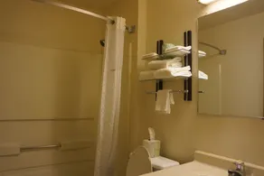 Rodeway Inn Delmont - Salle de bain