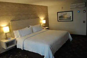 Holiday Inn Express Toluca by IHG - Chambre