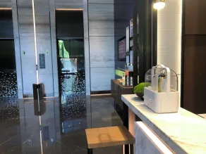 Hilton Hotel by Hampton Wuhan Zhongnan Street Branch - Reception