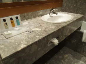 Plaza Hotel Capitole Toulouse - Salle de bain