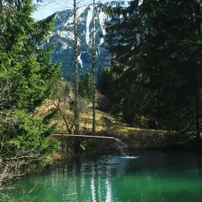 Alte Postvilla - Pool