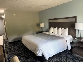 Q Lodge - Room