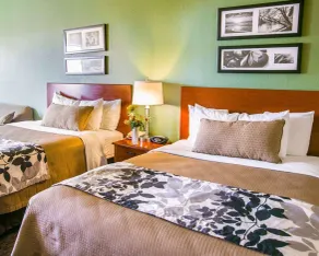 Sleep Inn & Suites Gonzales near Palmetto State Park - Chambre