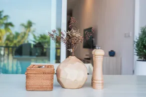 Replay Pool Villa  - Zimmer