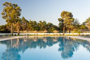 VILA PARK Nature & Business Hotel - Piscine