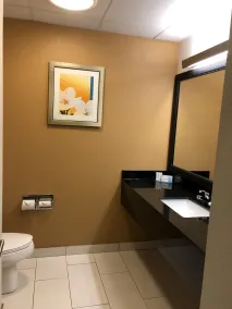 Quality Inn & Suites Sandusky - Salle de bain