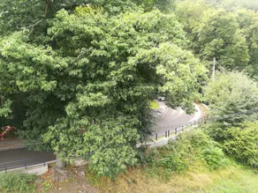 Hôtel de Liège - Vista do quarto