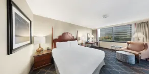 Austin Southpark Hotel - Room