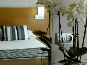 Hotel Txintxua - Chambre