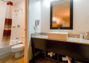 Red Roof Inn PLUS + Boston - Framingham - Bathroom